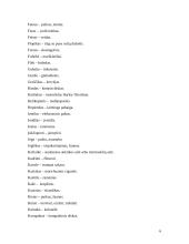 Slengas, netaisyklingi žodžiai 6 puslapis