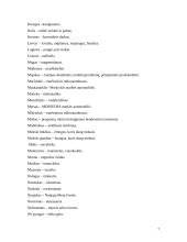 Slengas, netaisyklingi žodžiai 7 puslapis