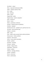 Slengas, netaisyklingi žodžiai 8 puslapis