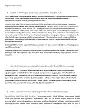 Žmogaus gyvenimo išbandymai literatūroje. Planas 3 puslapis