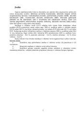 Smulkaus ir vidutinio verslo plėtra Lietuvoje 2 puslapis