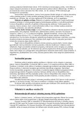 Smulkaus ir vidutinio verslo plėtra Lietuvoje 12 puslapis