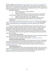 Smulkaus ir vidutinio verslo plėtra Lietuvoje 15 puslapis