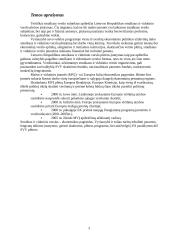 Smulkaus ir vidutinio verslo plėtra Lietuvoje 3 puslapis