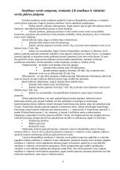 Smulkaus ir vidutinio verslo plėtra Lietuvoje 4 puslapis