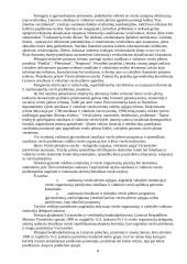 Smulkaus ir vidutinio verslo plėtra Lietuvoje 8 puslapis