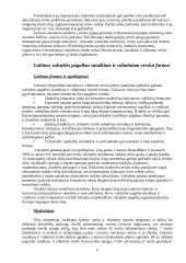 Smulkaus ir vidutinio verslo plėtra Lietuvoje 9 puslapis