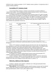 Smulkaus ir vidutinio verslo plėtra Lietuvoje 10 puslapis