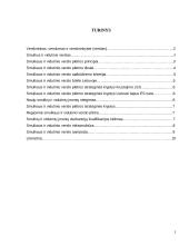 Smulkaus ir vidutinio verslo principai ir ypatybės 2 puslapis