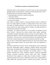 Smulkaus ir vidutinio verslo principai ir ypatybės 3 puslapis