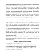 Smulkaus ir vidutinio verslo principai ir ypatybės 4 puslapis