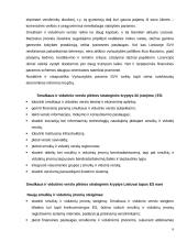 Smulkaus ir vidutinio verslo principai ir ypatybės 7 puslapis