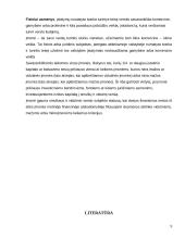 Smulkaus ir vidutinio verslo principai ir ypatybės 10 puslapis