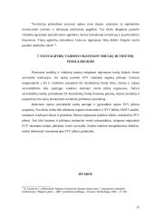 Smulkaus ir vidutinio verslo vaidmuo regionų plėtroje 13 puslapis