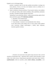 Smulkaus verslo atsiradimo ir steigimosi motyvacija 11 puslapis