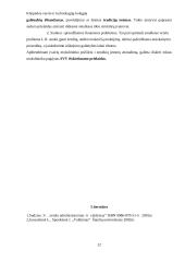 Smulkaus verslo atsiradimo ir steigimosi motyvacija 12 puslapis