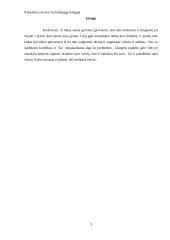Smulkaus verslo atsiradimo ir steigimosi motyvacija 3 puslapis