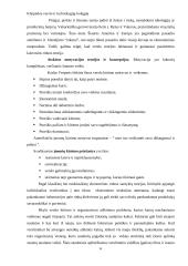 Smulkaus verslo atsiradimo ir steigimosi motyvacija 6 puslapis