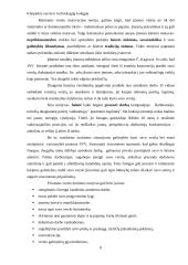 Smulkaus verslo atsiradimo ir steigimosi motyvacija 8 puslapis