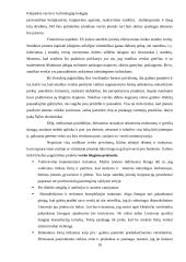 Smulkaus verslo atsiradimo ir steigimosi motyvacija 10 puslapis