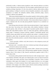 Smulkaus verslo svarba šiuolaikinėje ekonomikoje 13 puslapis