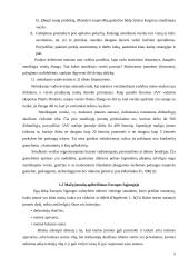 Smulkaus verslo svarba šiuolaikinėje ekonomikoje 5 puslapis