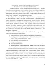 Smulkaus verslo svarba šiuolaikinėje ekonomikoje 9 puslapis