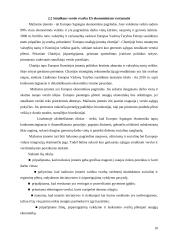 Smulkaus verslo svarba šiuolaikinėje ekonomikoje 10 puslapis