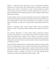 Virtuvės buitinių prietaisų skleidžiamas elektromagnetinis laukas ir poveikis sveikatai 10 puslapis