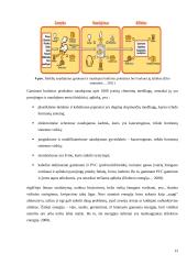 Virtuvės buitinių prietaisų skleidžiamas elektromagnetinis laukas ir poveikis sveikatai 11 puslapis