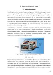 Virtuvės buitinių prietaisų skleidžiamas elektromagnetinis laukas ir poveikis sveikatai 13 puslapis
