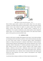 Virtuvės buitinių prietaisų skleidžiamas elektromagnetinis laukas ir poveikis sveikatai 14 puslapis