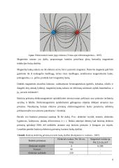 Virtuvės buitinių prietaisų skleidžiamas elektromagnetinis laukas ir poveikis sveikatai 5 puslapis