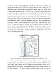 Virtuvės buitinių prietaisų skleidžiamas elektromagnetinis laukas ir poveikis sveikatai 7 puslapis