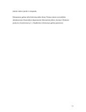 Smulkiojo ir vidutinio verslo skatinimas Lietuvoje 11 puslapis