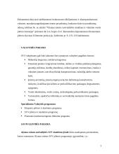 Smulkiojo ir vidutinio verslo skatinimas Lietuvoje 5 puslapis