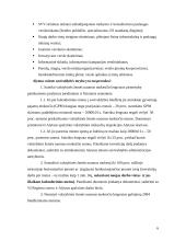 Smulkiojo ir vidutinio verslo skatinimas Lietuvoje 6 puslapis