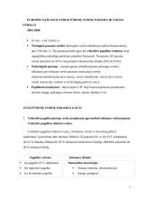 Smulkiojo ir vidutinio verslo skatinimas Lietuvoje 7 puslapis