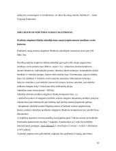 Smulkiojo ir vidutinio verslo skatinimas Lietuvoje 10 puslapis