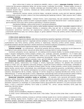 Civilinė teisė. CT 2 puslapis