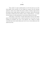 Smulkus ir vidutinis verslas, jo būklė Lietuvoje 2 puslapis