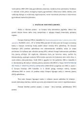 Smulkus ir vidutinis verslas, jo būklė Lietuvoje 11 puslapis