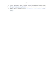 Smulkus ir vidutinis verslas, jo būklė Lietuvoje 13 puslapis