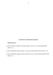 Smulkus ir vidutinis verslas, jo būklė Lietuvoje 15 puslapis