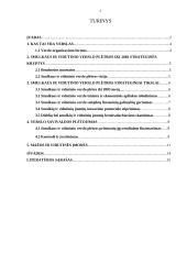 Smulkus ir vidutinis verslas, jo būklė Lietuvoje 3 puslapis