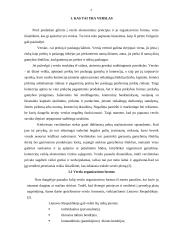 Smulkus ir vidutinis verslas, jo būklė Lietuvoje 4 puslapis