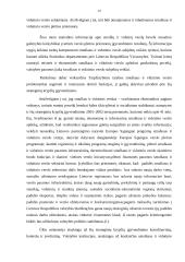 Smulkus ir vidutinis verslas, jo būklė Lietuvoje 10 puslapis