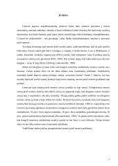 Smurtas prieš moterį šeimoje: mitai ir realybė 2 puslapis