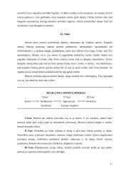 Smurtas prieš moterį šeimoje: mitai ir realybė 11 puslapis