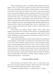 Smurtas prieš moterį šeimoje: mitai ir realybė 13 puslapis